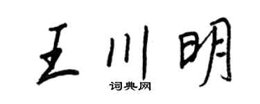 王正良王川明行書個性簽名怎么寫