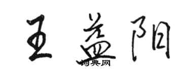 駱恆光王益陽行書個性簽名怎么寫