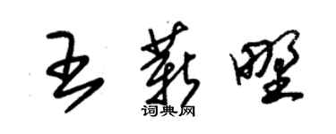 朱錫榮王薪野草書個性簽名怎么寫