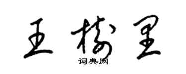 梁錦英王樹里草書個性簽名怎么寫