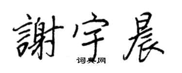 王正良謝宇晨行書個性簽名怎么寫