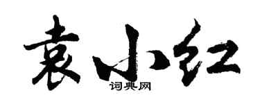 胡問遂袁小紅行書個性簽名怎么寫