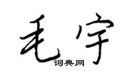 王正良毛宇行書個性簽名怎么寫
