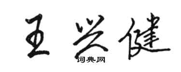 駱恆光王興健行書個性簽名怎么寫