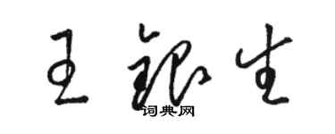 駱恆光王銀生草書個性簽名怎么寫