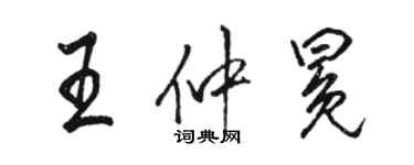 駱恆光王仲冕行書個性簽名怎么寫