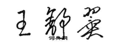 駱恆光王舒翼草書個性簽名怎么寫