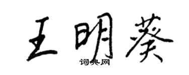 王正良王明葵行書個性簽名怎么寫