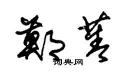 朱錫榮鄭菁草書個性簽名怎么寫