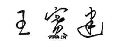 駱恆光王賽建草書個性簽名怎么寫