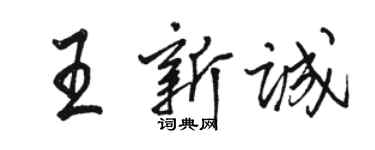 駱恆光王新誠行書個性簽名怎么寫