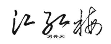 駱恆光江紅梅草書個性簽名怎么寫