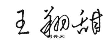 駱恆光王翔甜草書個性簽名怎么寫