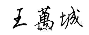 王正良王萬城行書個性簽名怎么寫