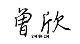 王正良曾欣行書個性簽名怎么寫