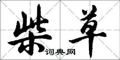 胡問遂柴草行書怎么寫