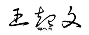 曾慶福王起文草書個性簽名怎么寫