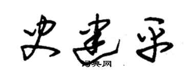朱錫榮史建平草書個性簽名怎么寫