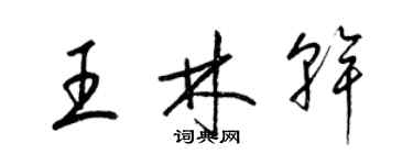 梁錦英王林乾草書個性簽名怎么寫