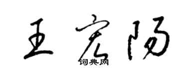 梁錦英王宏陽草書個性簽名怎么寫