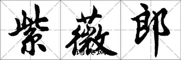 胡問遂紫薇郎行書怎么寫