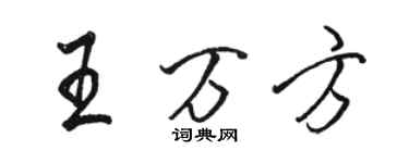 駱恆光王萬方行書個性簽名怎么寫