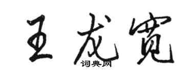 駱恆光王龍寬行書個性簽名怎么寫