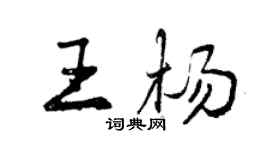 曾慶福王楊行書個性簽名怎么寫