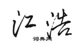 駱恆光江浩行書個性簽名怎么寫