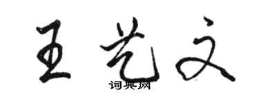 駱恆光王藝文行書個性簽名怎么寫