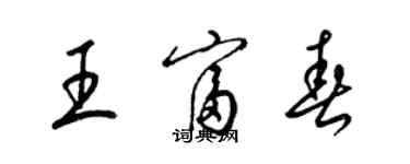 梁錦英王富春草書個性簽名怎么寫