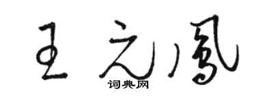 駱恆光王元鳳草書個性簽名怎么寫