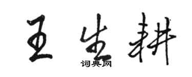 駱恆光王生耕行書個性簽名怎么寫