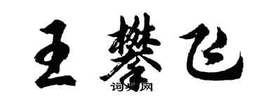 胡問遂王攀飛行書個性簽名怎么寫