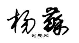 朱錫榮楊蘇草書個性簽名怎么寫