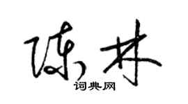 梁錦英陳林草書個性簽名怎么寫