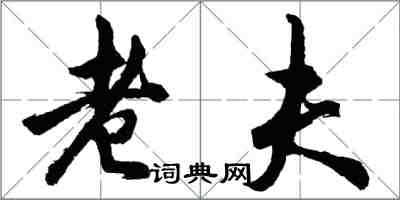 胡問遂老夫行書怎么寫