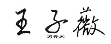 駱恆光王子薇行書個性簽名怎么寫