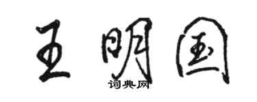 駱恆光王明國行書個性簽名怎么寫