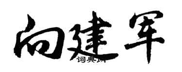 胡問遂向建軍行書個性簽名怎么寫