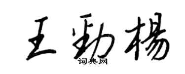 王正良王勁楊行書個性簽名怎么寫