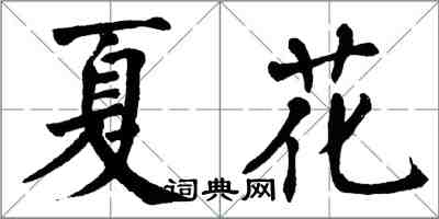 翁闓運夏花楷書怎么寫