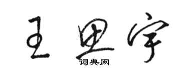 駱恆光王思宇草書個性簽名怎么寫