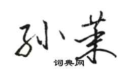 駱恆光孫茉行書個性簽名怎么寫