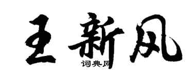 胡問遂王新風行書個性簽名怎么寫