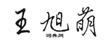 駱恆光王旭萌行書個性簽名怎么寫