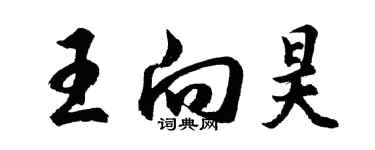 胡問遂王向昊行書個性簽名怎么寫