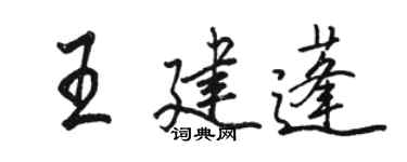 駱恆光王建蓬行書個性簽名怎么寫
