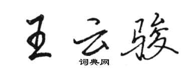 駱恆光王雲駿行書個性簽名怎么寫