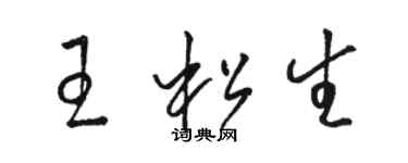 駱恆光王松生草書個性簽名怎么寫